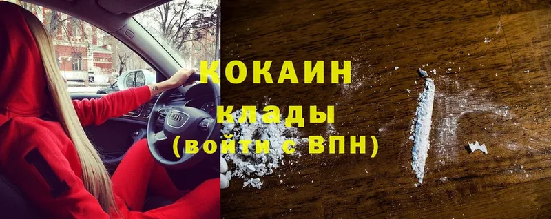 Cocaine FishScale  где купить наркотик  Динская 